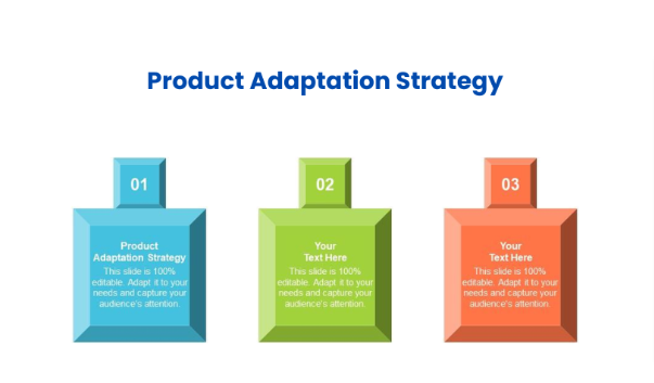 Product Adaptation Strategy